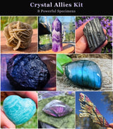 Crystal Allies Kit - 8 Powerful Specimens (SAVE 60% Bundle Deal)