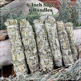 6-Zoll-Bündel aus weißem Salbei