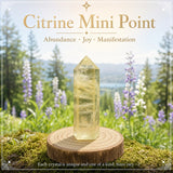 Citrine Mini Crystal Point