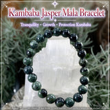 Mala Kambaba Jasper Bracelet With Velvet Pouch