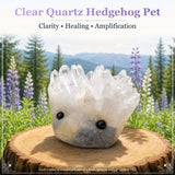 Crystal Quartz Hedgehog Pets