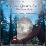 Crystal Quartz Skull (Medium Size)