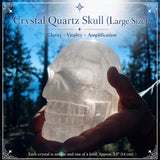 Crystal Quartz Skull (Large Size)
