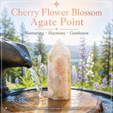 Cherry Flower Blossom Agate Point