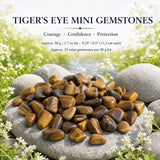 Tiger's Eye Mini Gemstones (50 Gram / 1.7oz. Lot)