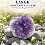 Large Amethyst Cluster