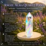 17-Piece Angelic Crystal Set