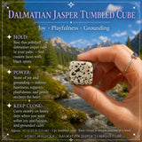 Dalmatian Jasper Tumbled Cube