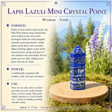 Ametyst Crystal Mini Flower Power Sæt 🌼