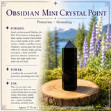 Obsidian & Tektite Protector Pouch Set