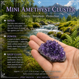 Mini Amethyst Cluster