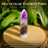 Multicolor Fluorite Intuitive 6-Piece Set