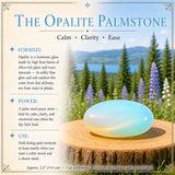 Opalite Peace Bear & Palmstone Set