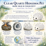 Crystal Quartz Hedgehog Pets