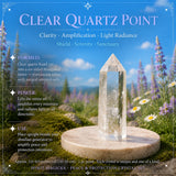 Peace & Protection Crystal Set