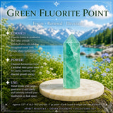 Green Fluorite Collectors Kit