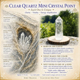 Clear Quartz Mini Crystal Point