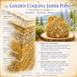 Golden Coquina Jasper Point