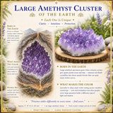 Large Amethyst Cluster