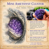 Mini Amethyst Cluster