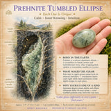 Prehnite Tumbled Ellipse