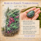 Ruby in Zoisite Tumbled Stone