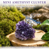 Crystal Sampler Bundle No.5.