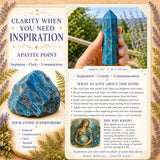 Apatite Point