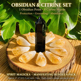 Manifesting Bundle 4-Pack