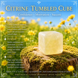 Citrine Abundance Crystal Pouch Set