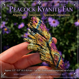 6-Piece Crystal Companions Set