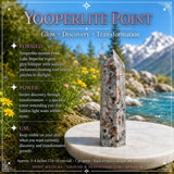 Grounding & Transformation Crystal Set