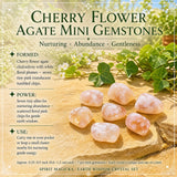 50% OFF SALE Earth Wisdom Crystal Set