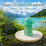 Green Fluorite Collectors Kit