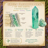 Sacred Fluorite & Amethyst Energy Set