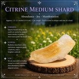 36-Piece Ultimate Crystal Collectors Kit