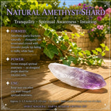 50% OFF SALE Earth Wisdom Crystal Set