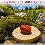 Crystal Sampler Bundle No.3. Balance & Protection