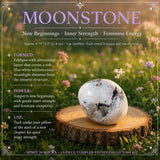 19-Piece Tumbled Stones Collectors Kit