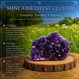 36-Piece Ultimate Crystal Collectors Kit