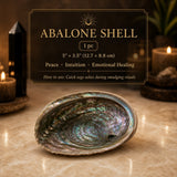 Dark Energy Ultimate Protection Set : Obsidian, Tektite & Tourmaline Bundle