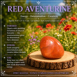 19-Piece Tumbled Stones Collectors Kit