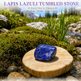 Crystal Sampler Bundle No.7.