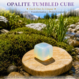 Crystal Sampler Bundle No.5.