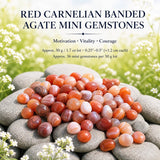 Crystal Sampler Bundle No.2.