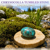 Crystal Sampler Bundle No.5.
