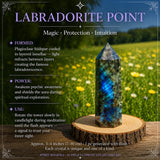 36-Piece Ultimate Crystal Collectors Kit