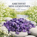 Crystal Sampler Bundle No.5.