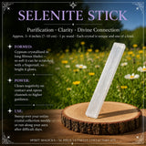 36-Piece Ultimate Crystal Collectors Kit
