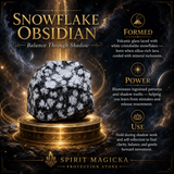 Dark Energy Guardian Protection Bundle (14-PC Set)